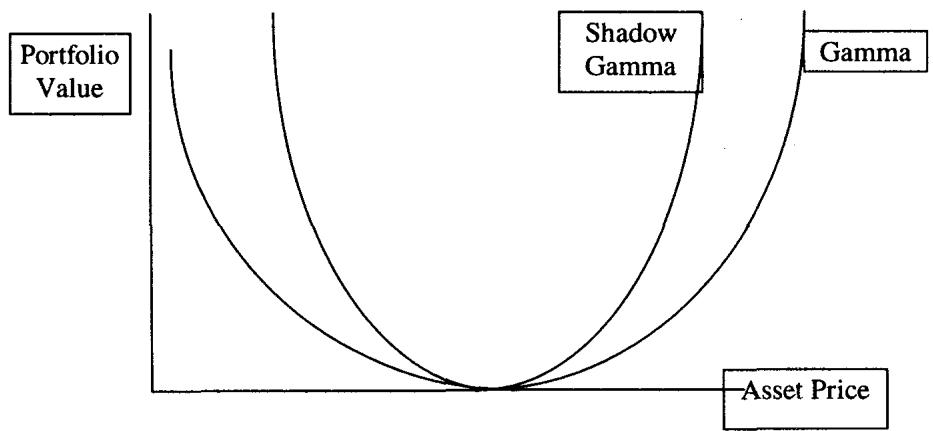 图 8.4 比较 gamma 与 shadow gamma 的 P/L
